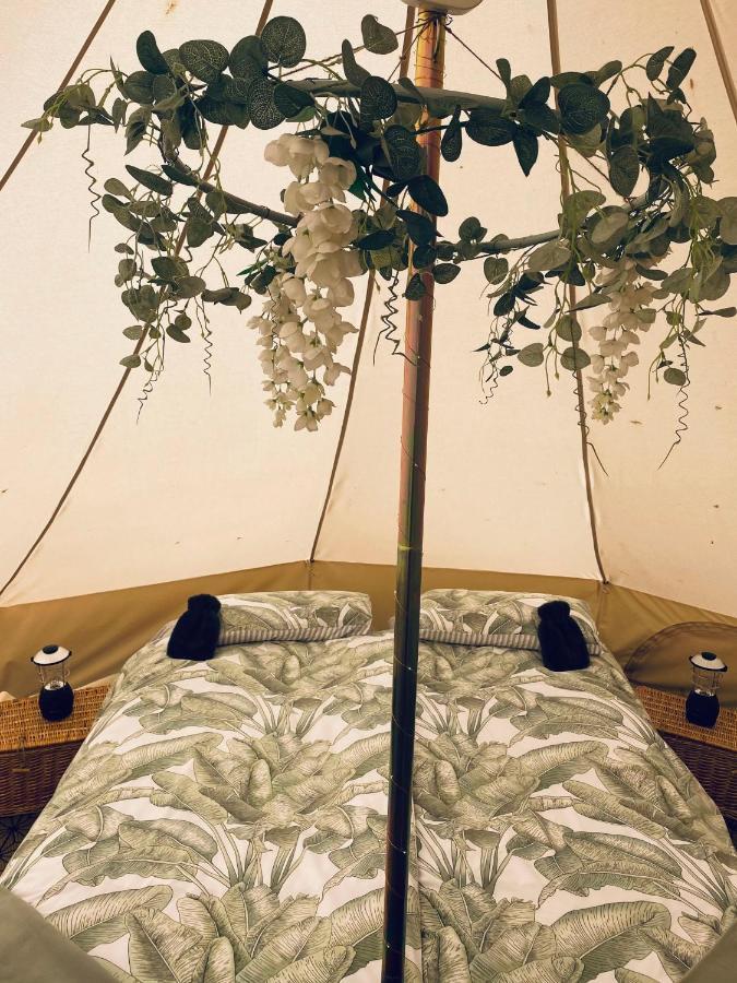 Duneden Belle Glamping Randalstown ภายนอก รูปภาพ